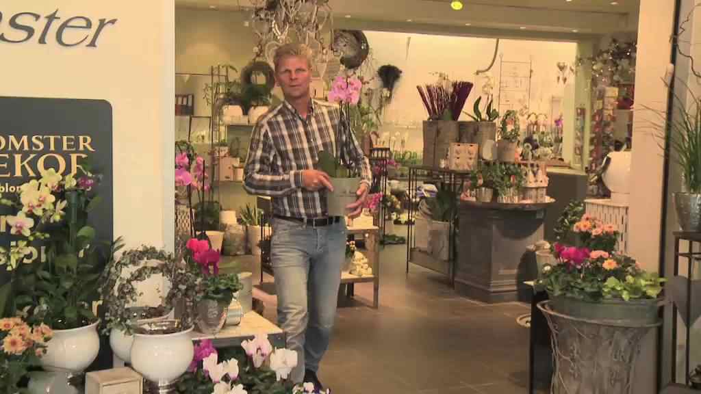 Se filmen