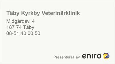 Se filmen